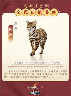 新龙之天龙八部私服